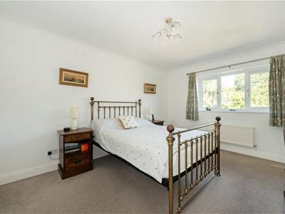 Picture 14